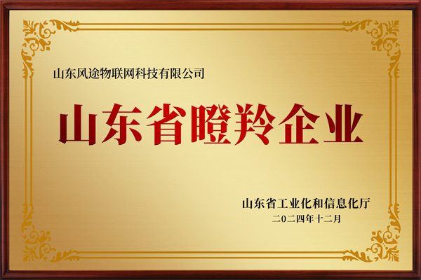 山東省瞪羚企業證書